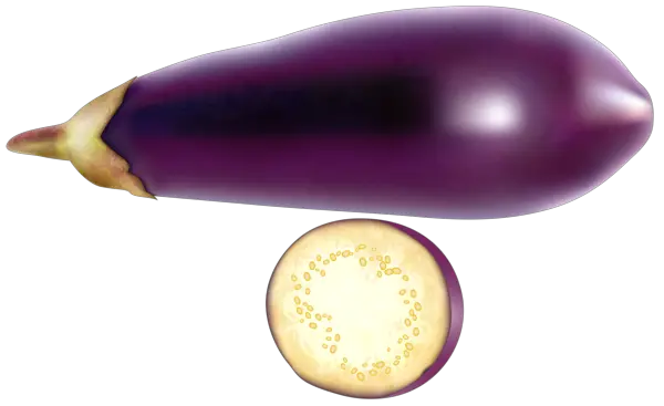 Eggplant PNG