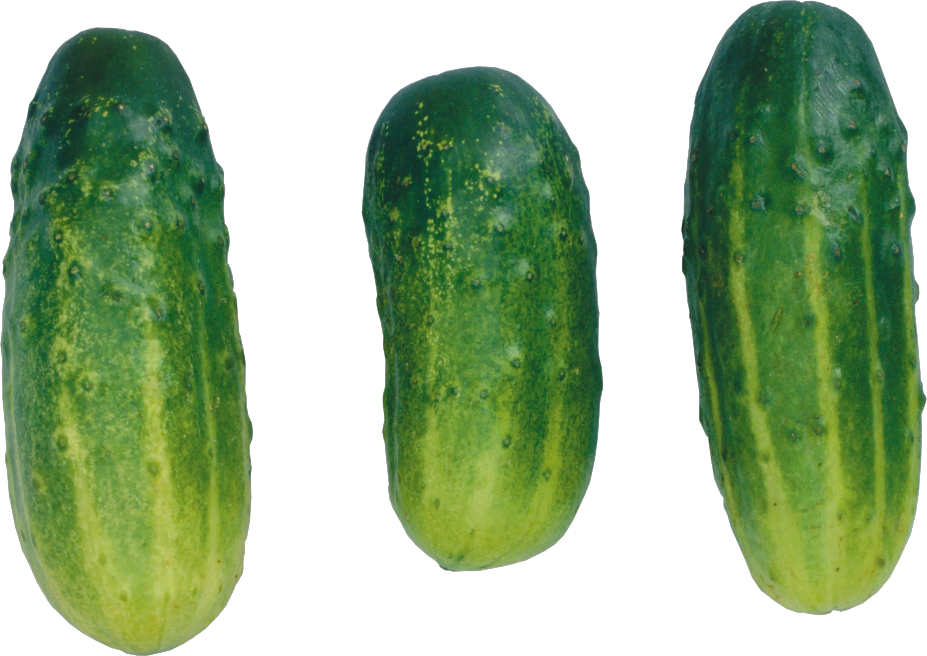 short cucumbers PNG
