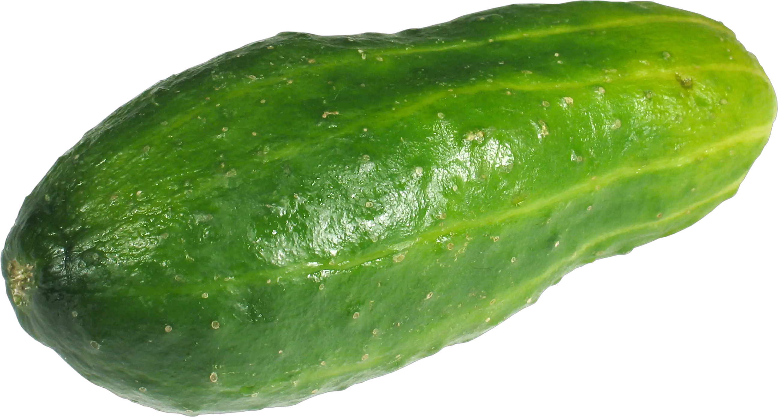 Cucumber PNG picture