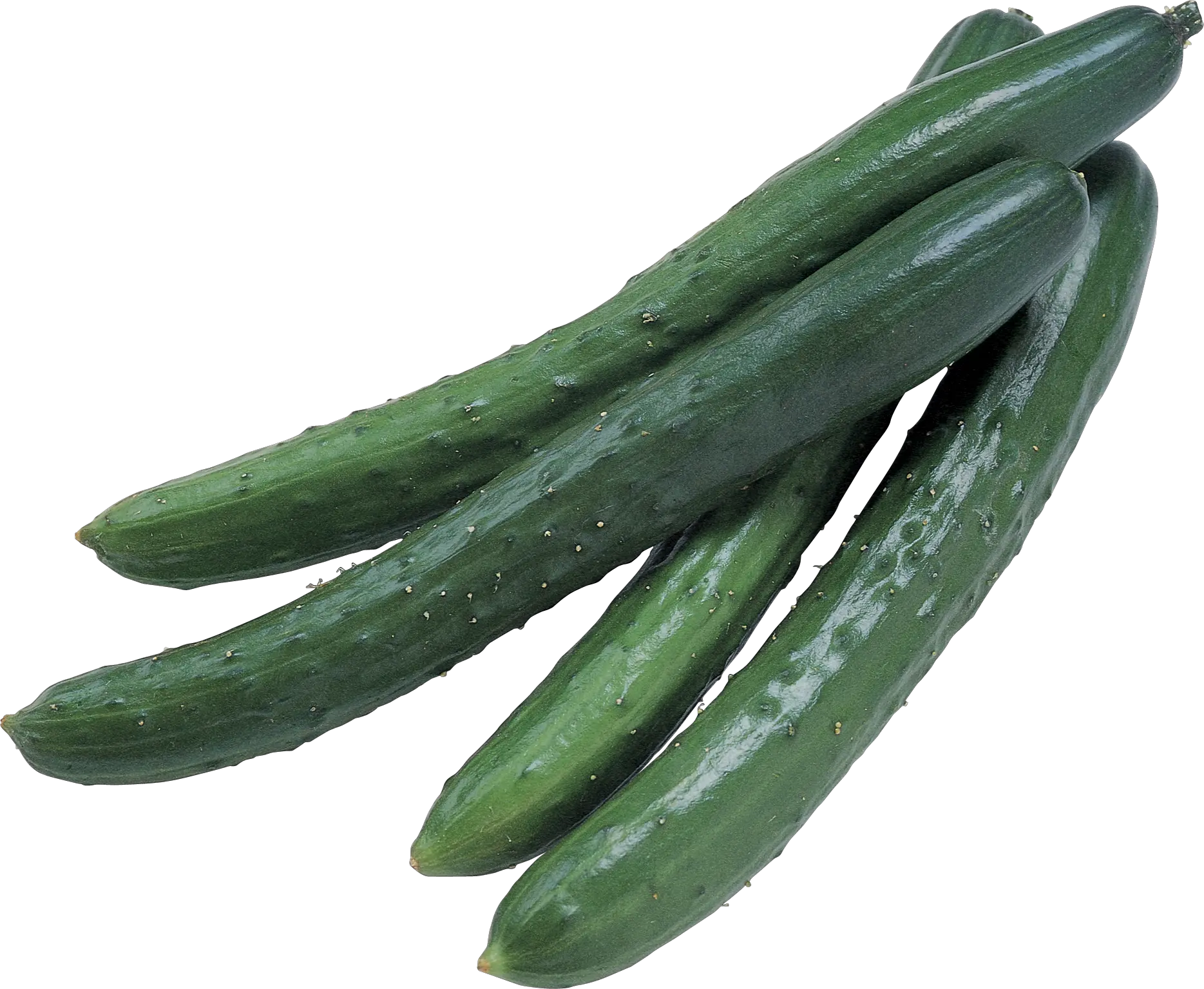 Four long cucumbers PNG
