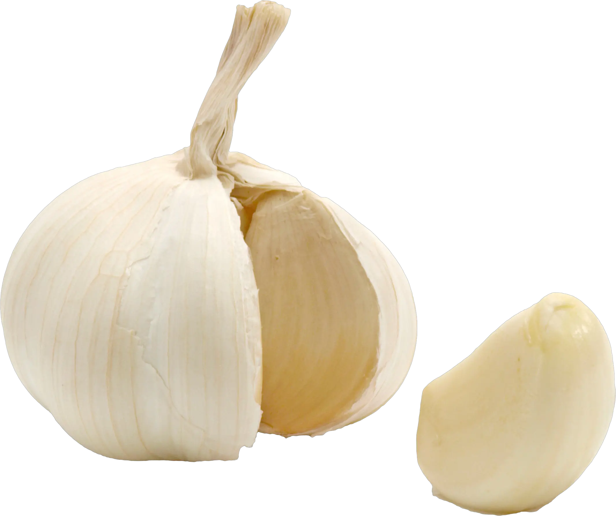 Garlic PNG
