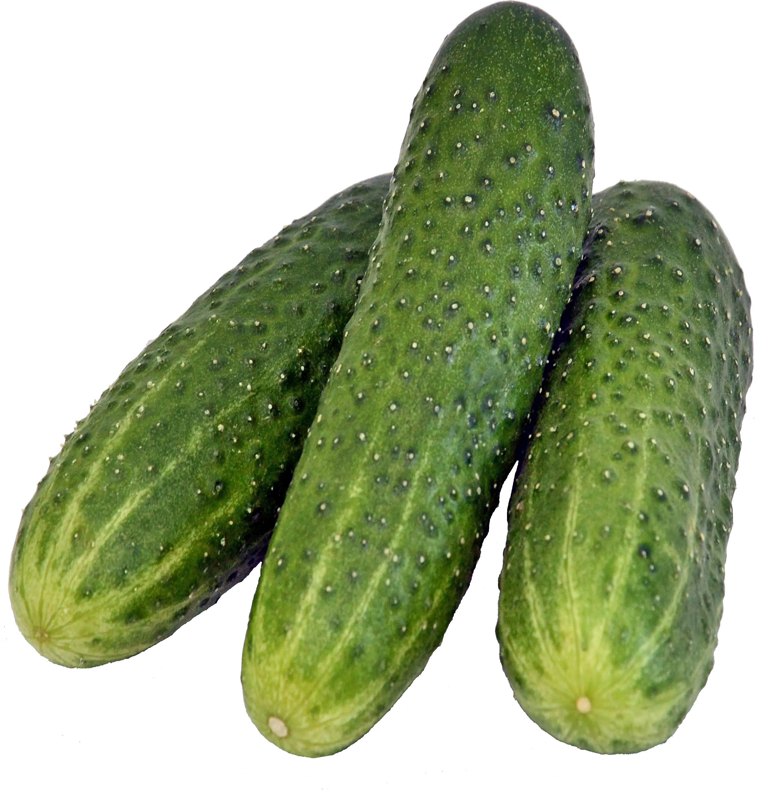 3 cucumbers PNG