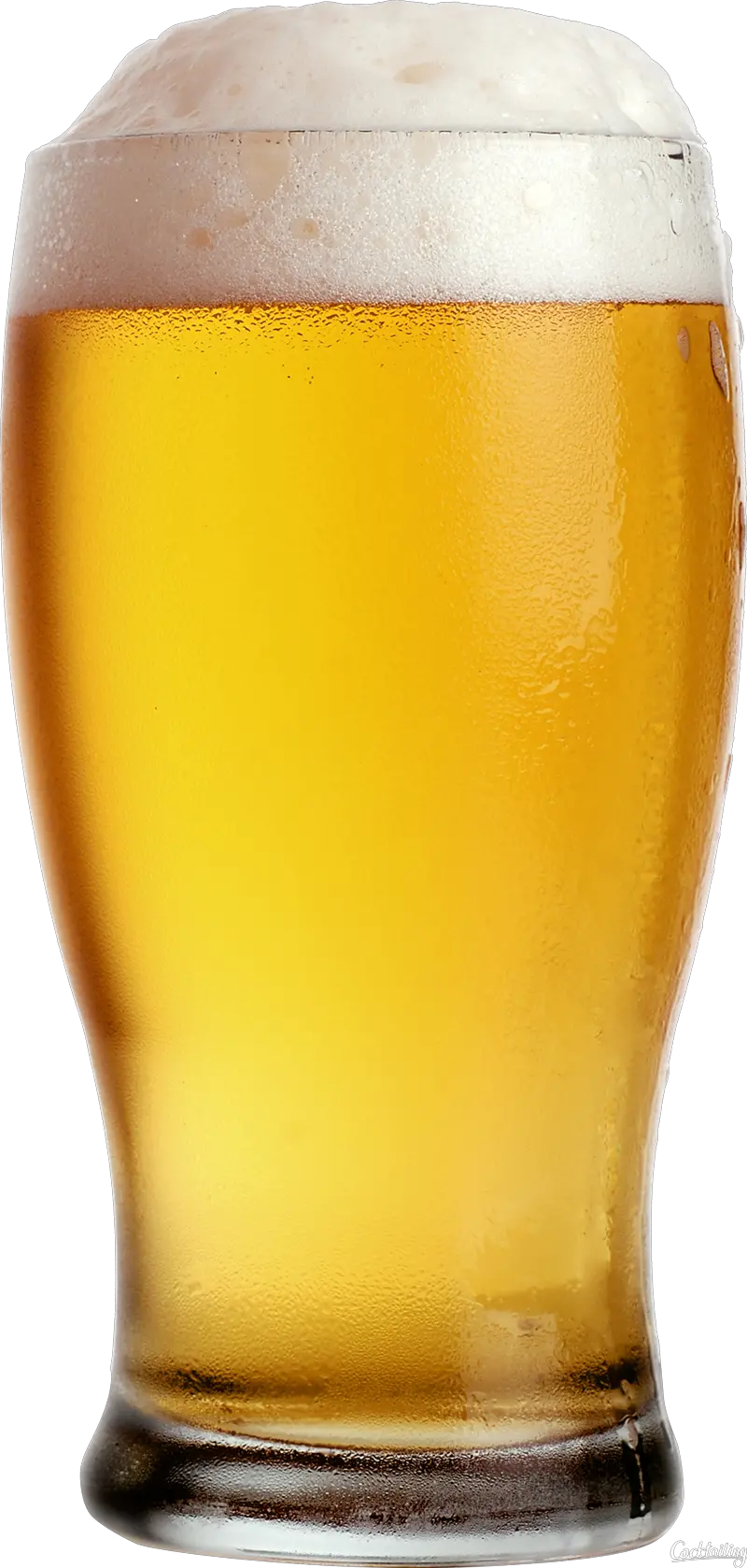 Beer PNG image
