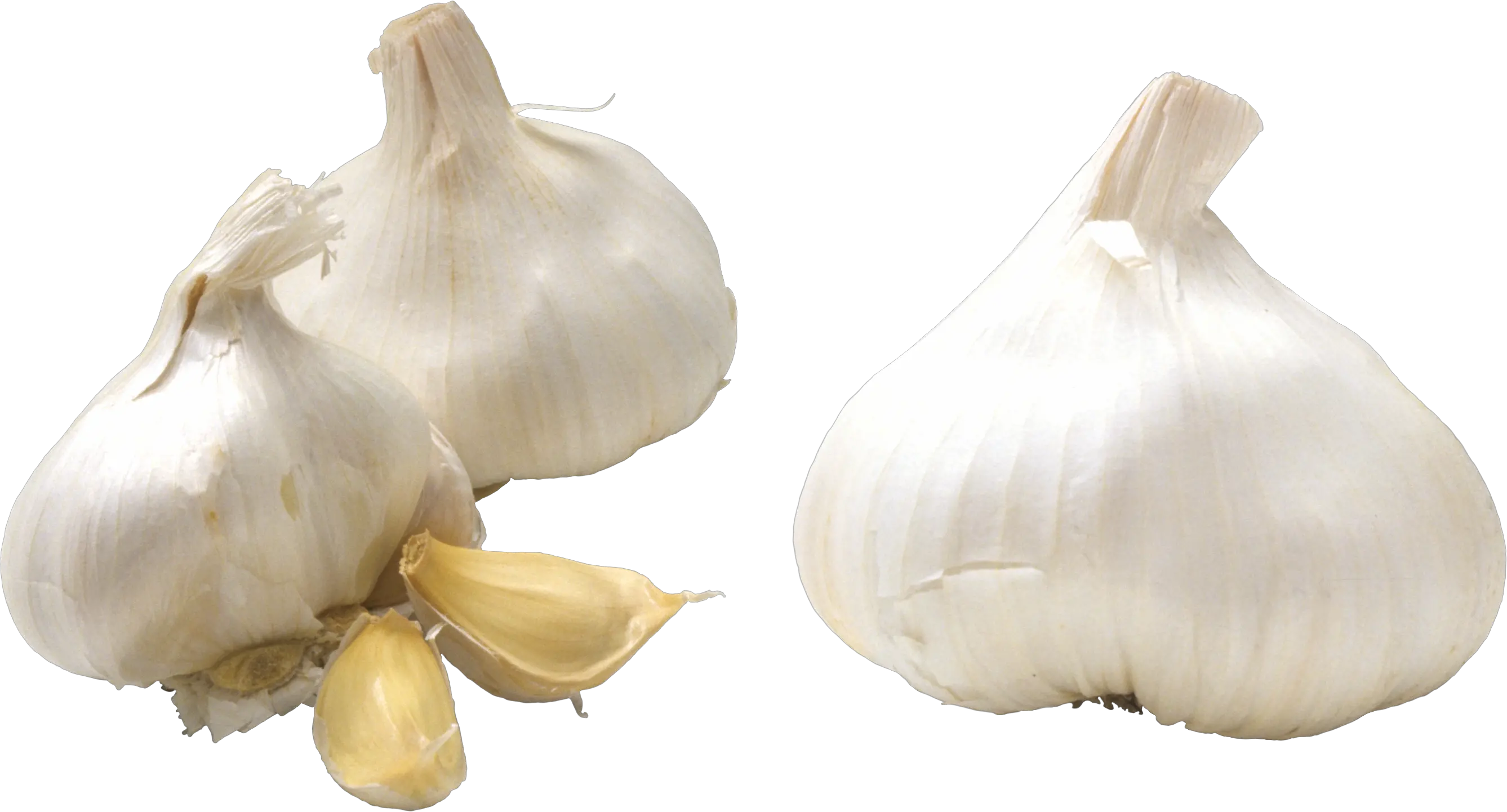 Garlic PNG