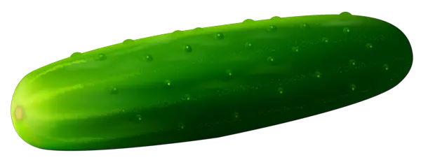 Green cucumber PNG