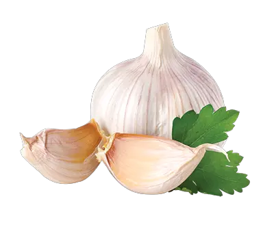 Garlic PNG