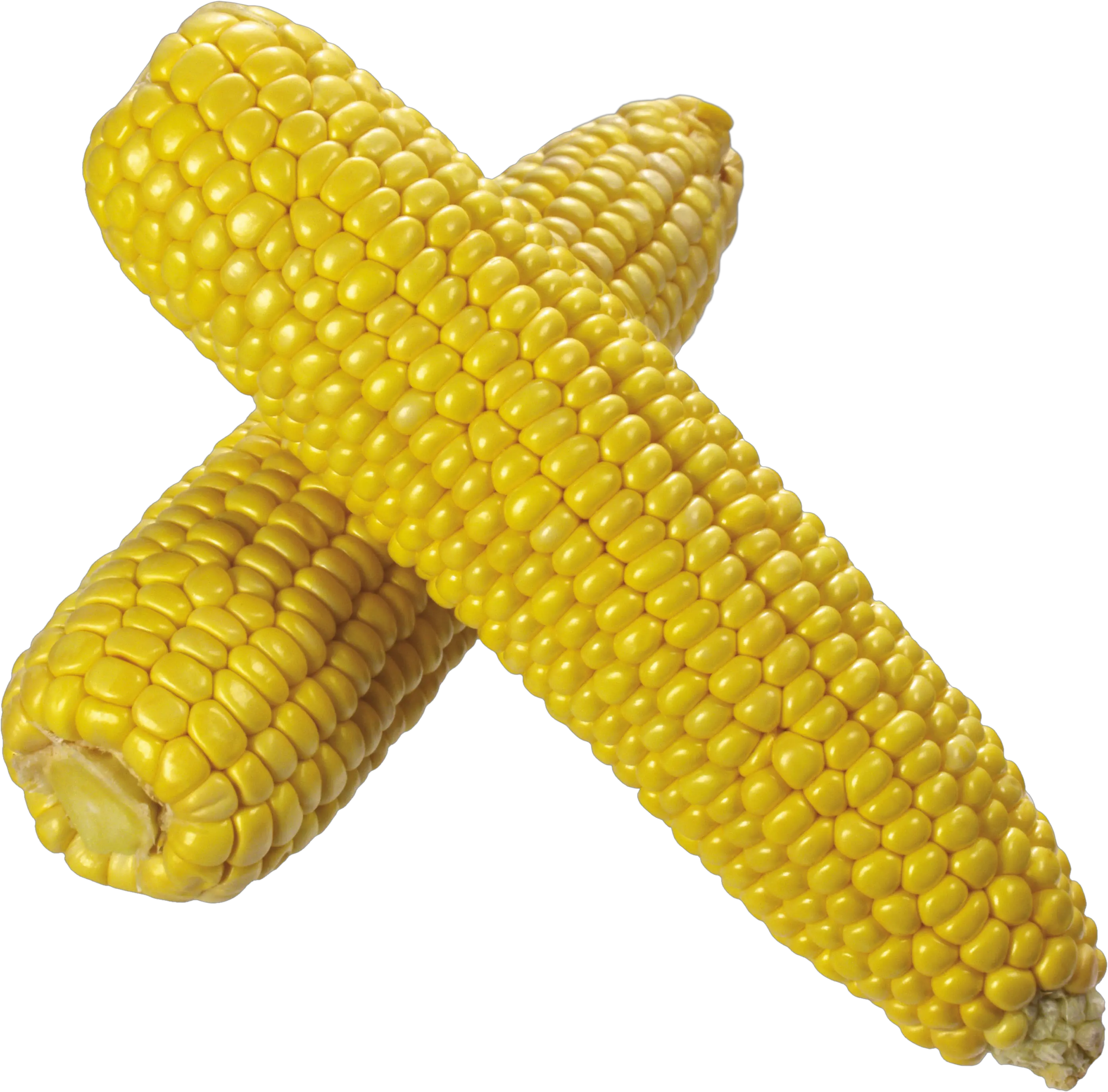 Corn PNG image