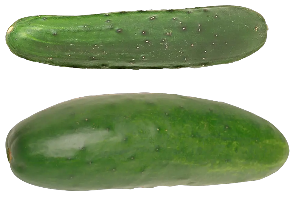 Cucumber PNG