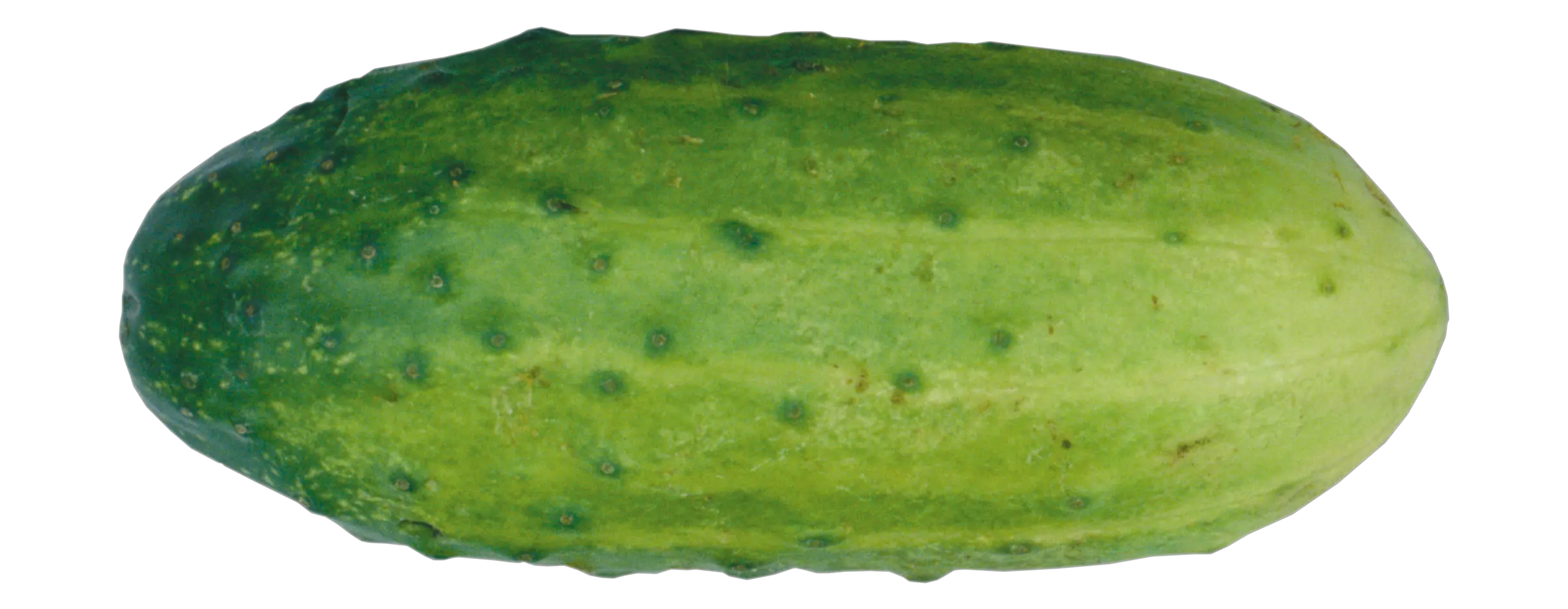 Cucumber PNG