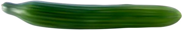 Very long cucumber PNG