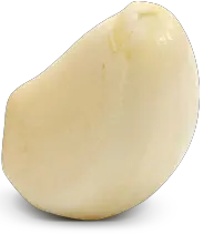 Garlic PNG
