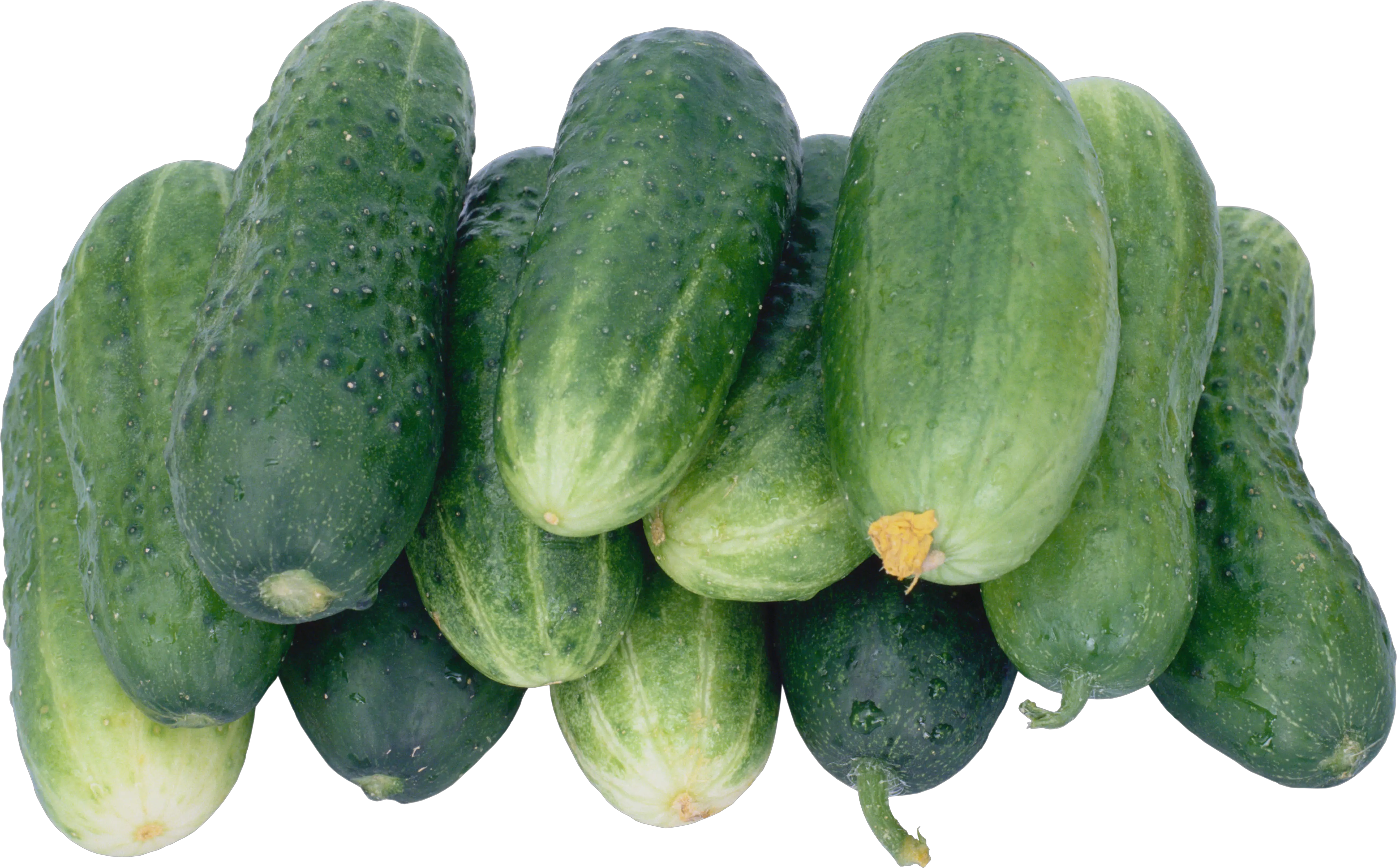 Many cucumbers PNG picture