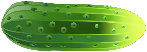 Freach cucumber PNG picture