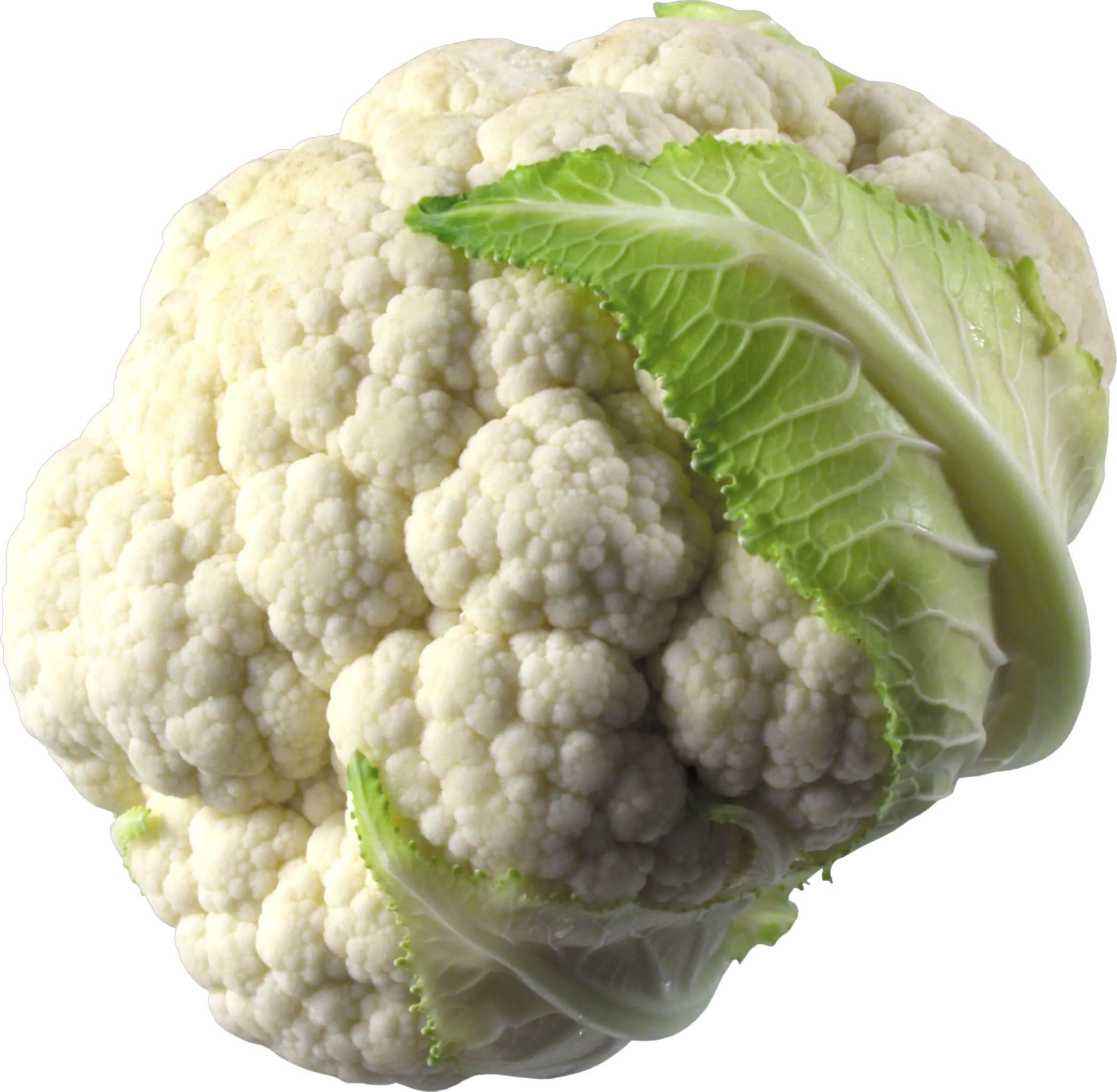 Cauliflower PNG
