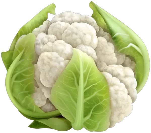 Cauliflower PNG