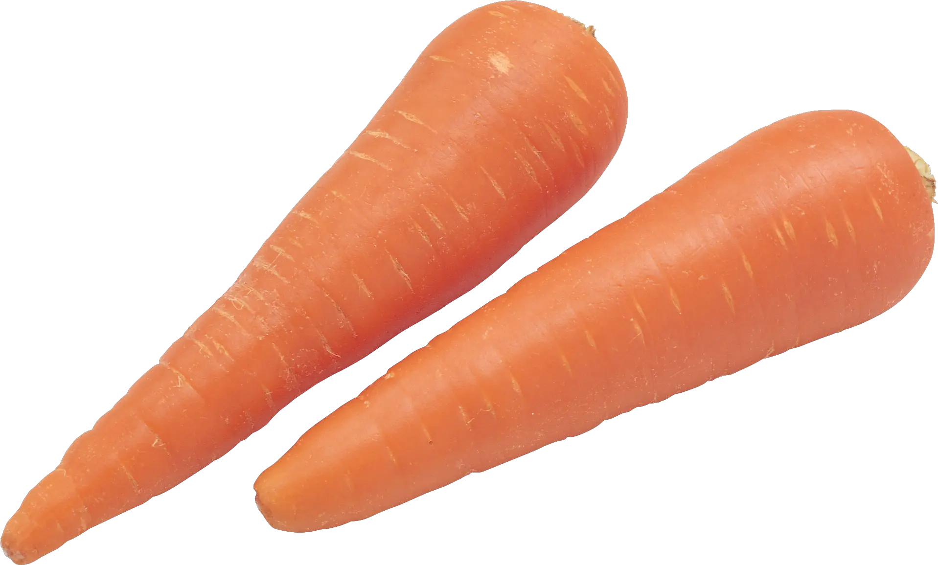 Carrot PNG image