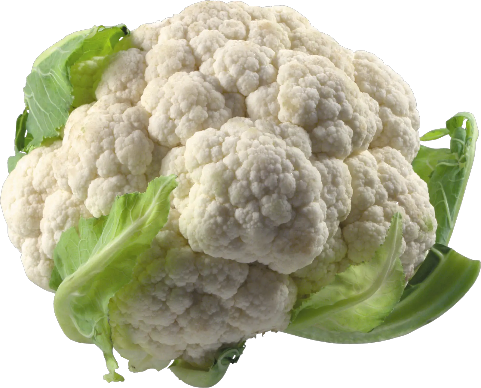 Cauliflower PNG