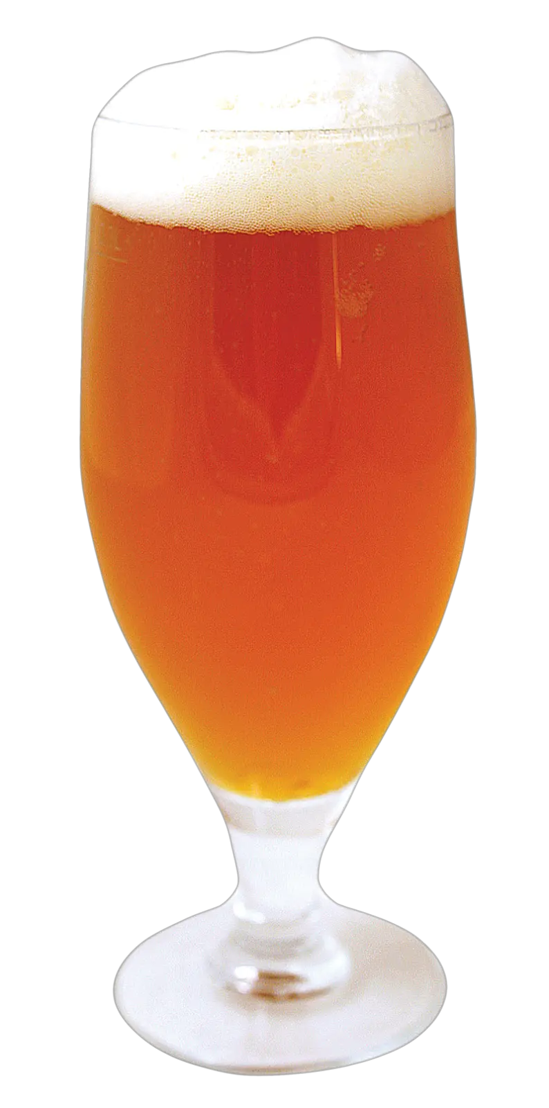 goblet beer PNG image