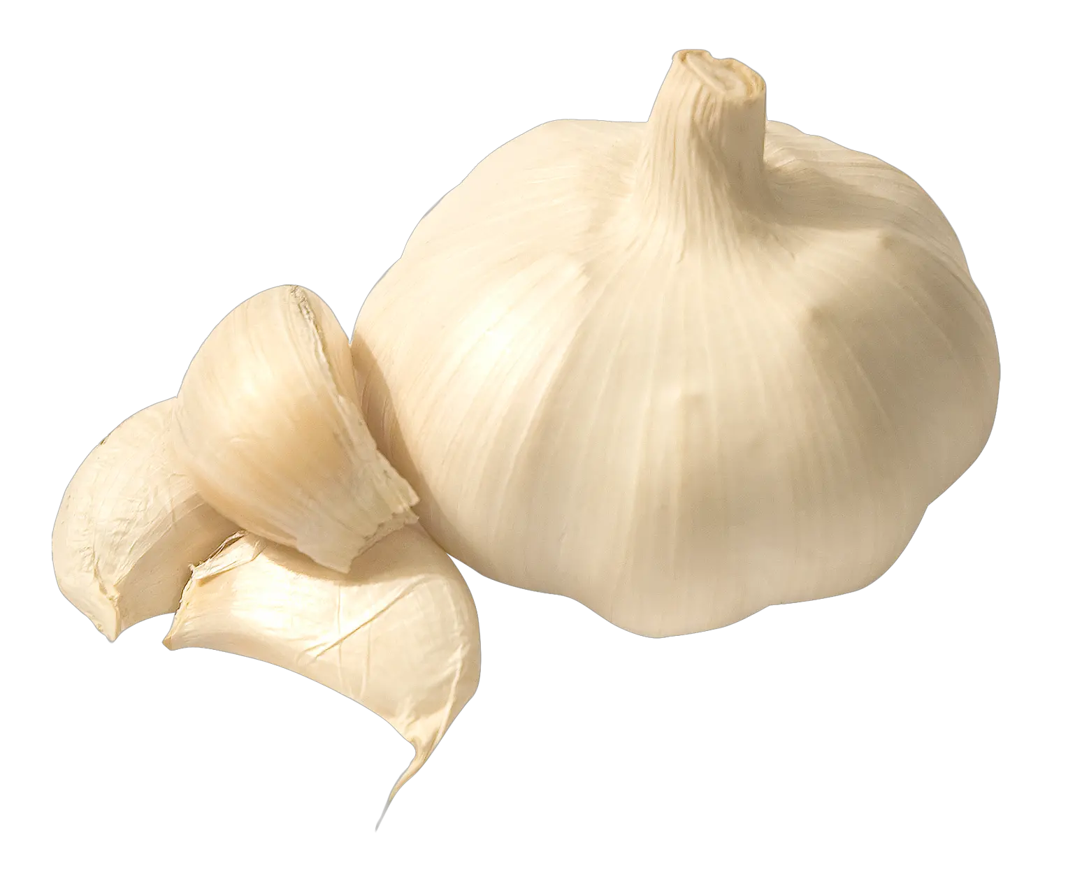 Garlic PNG