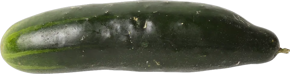 Salted cucumber PNG