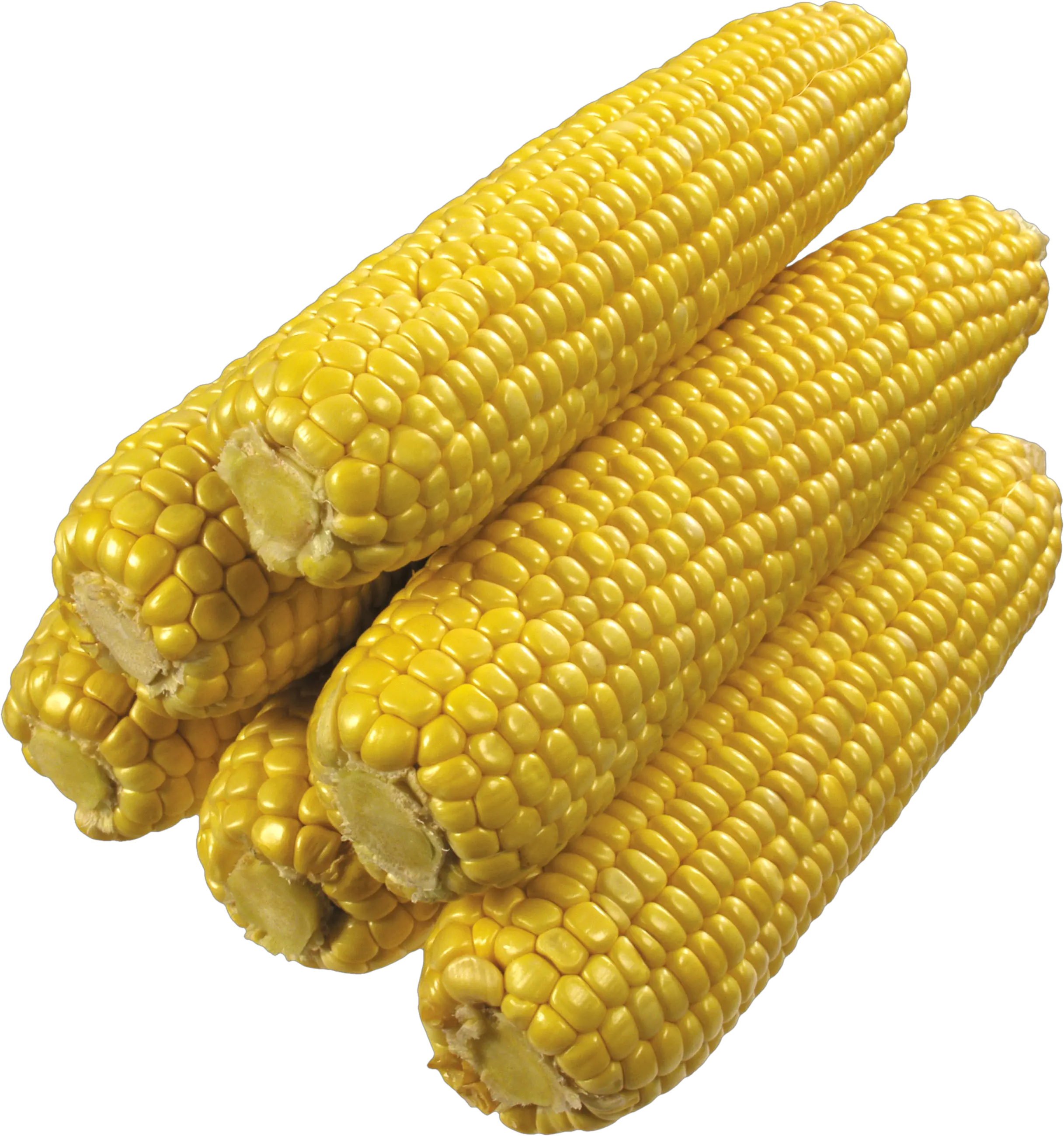 Corn PNG image