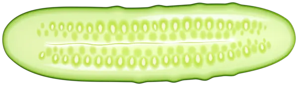Cucumber half PNG