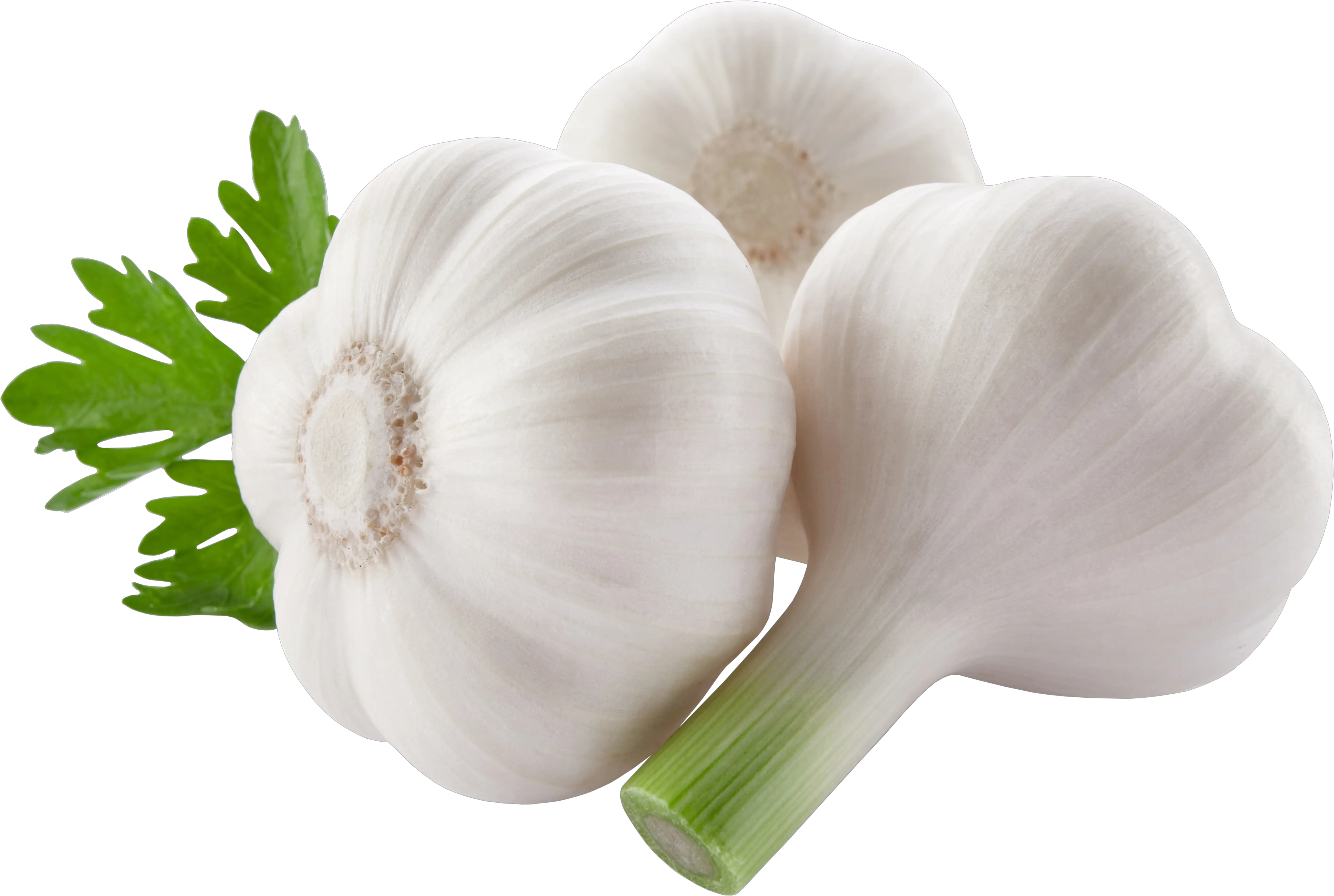 Garlic PNG