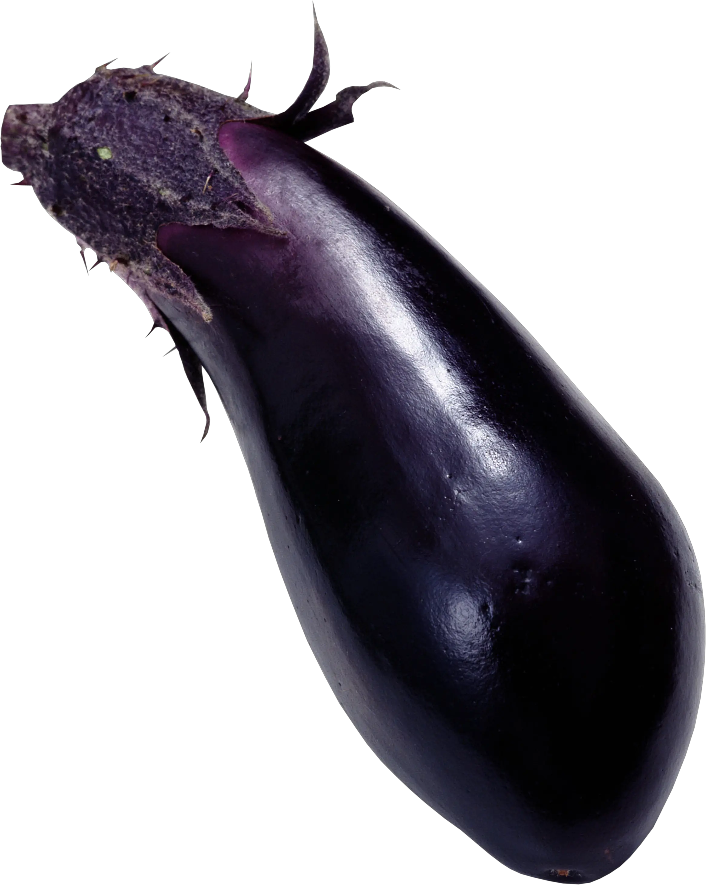 Eggplant PNG images free download