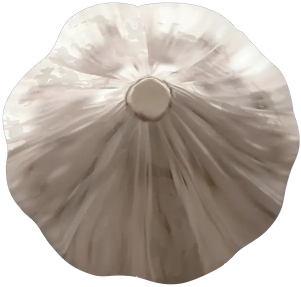 Garlic PNG