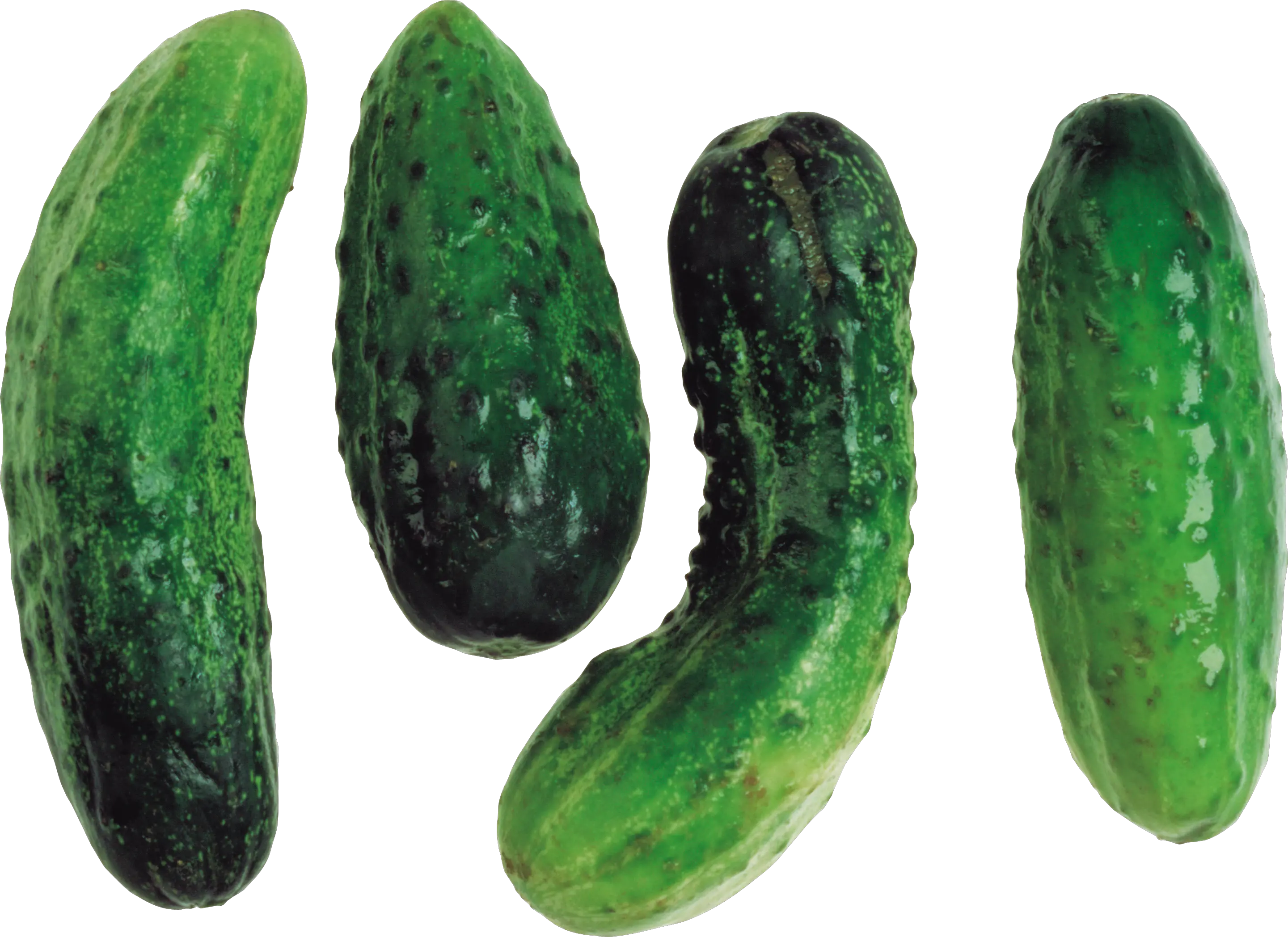 Cucumbers PNG