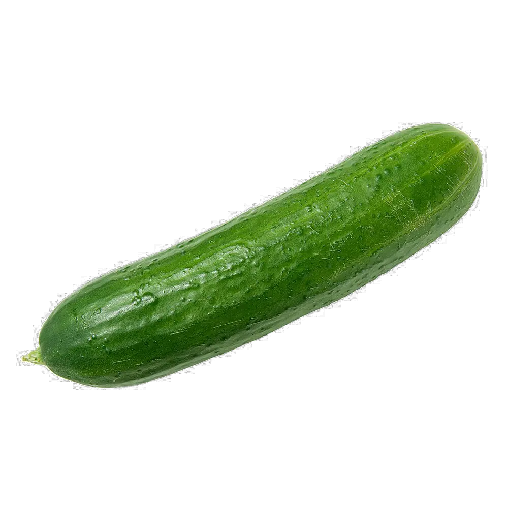 big cucumber PNG