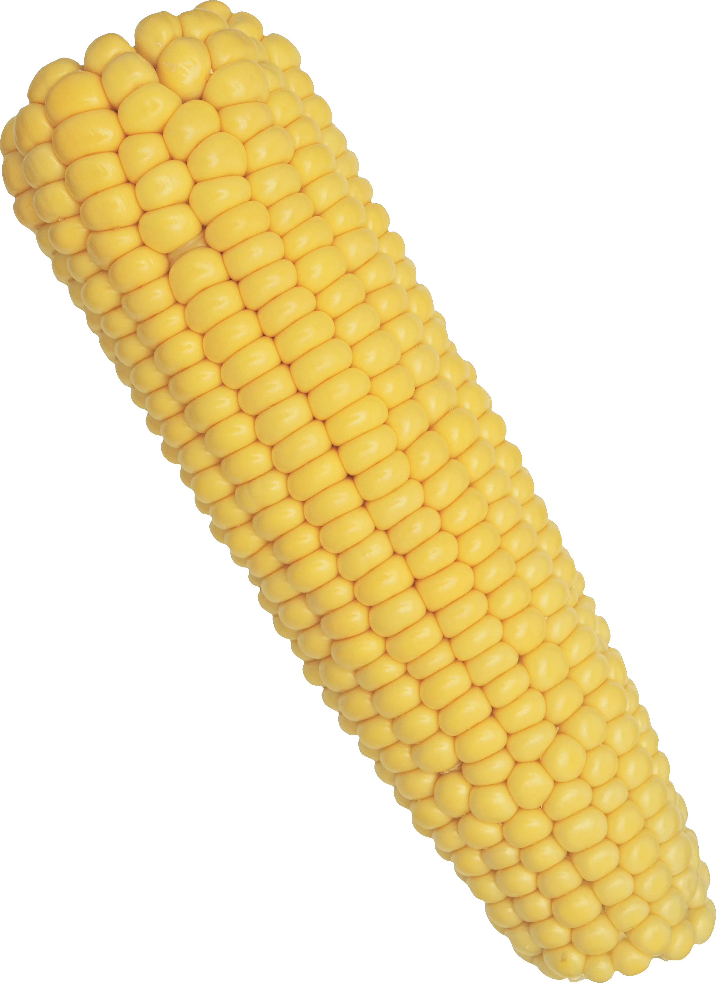 Corn PNG