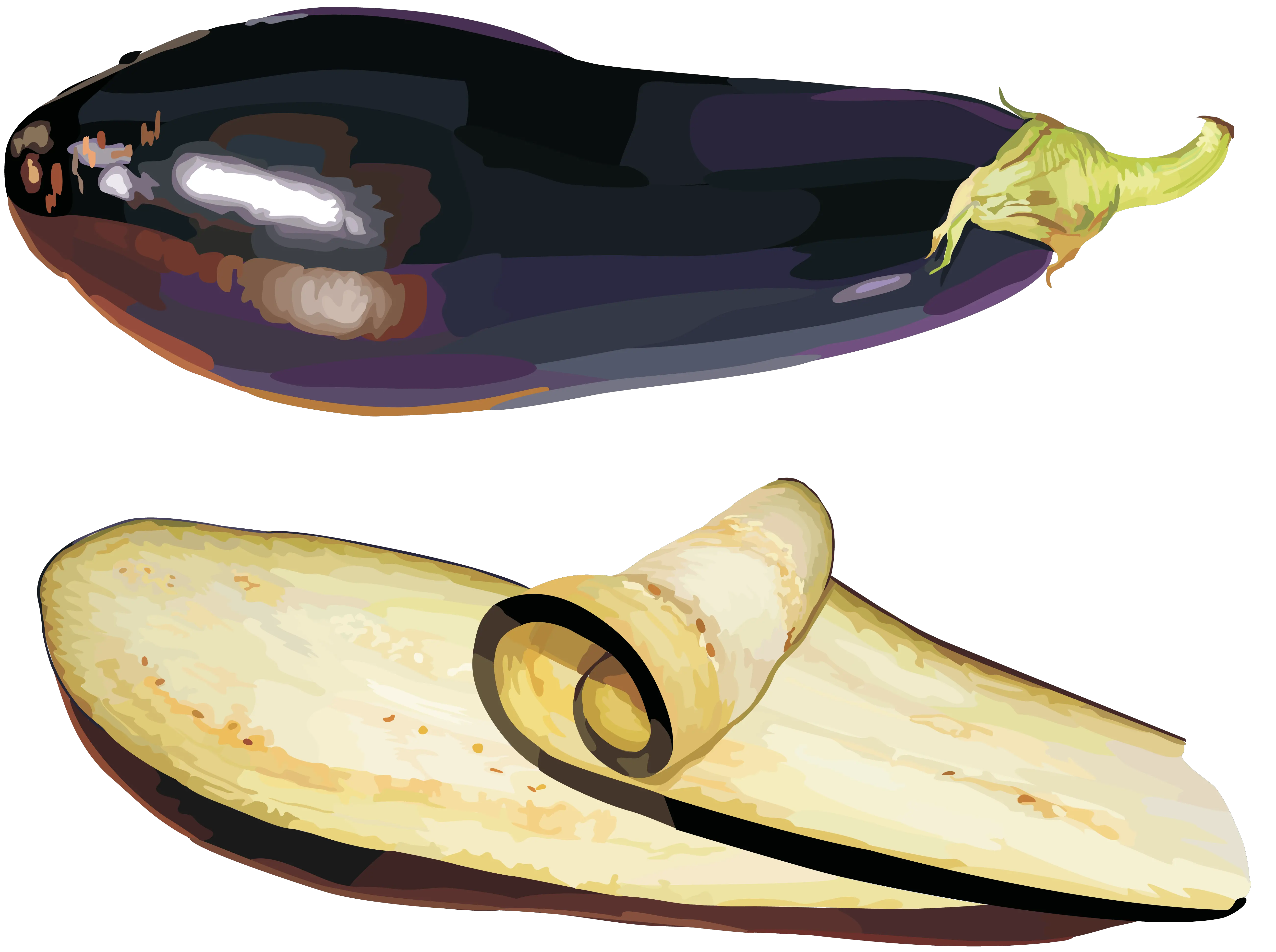 Eggplants PNG