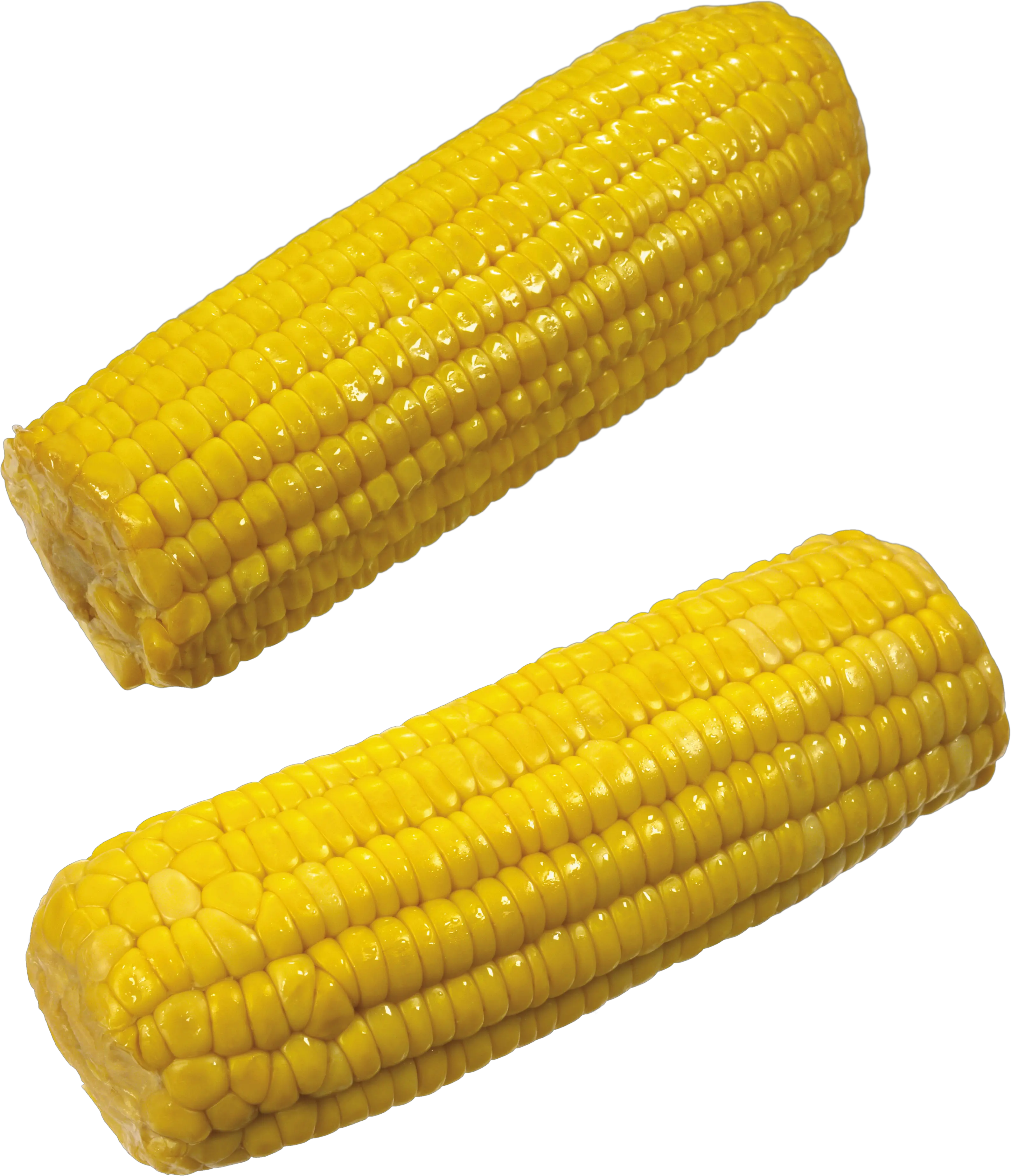 Corn PNG