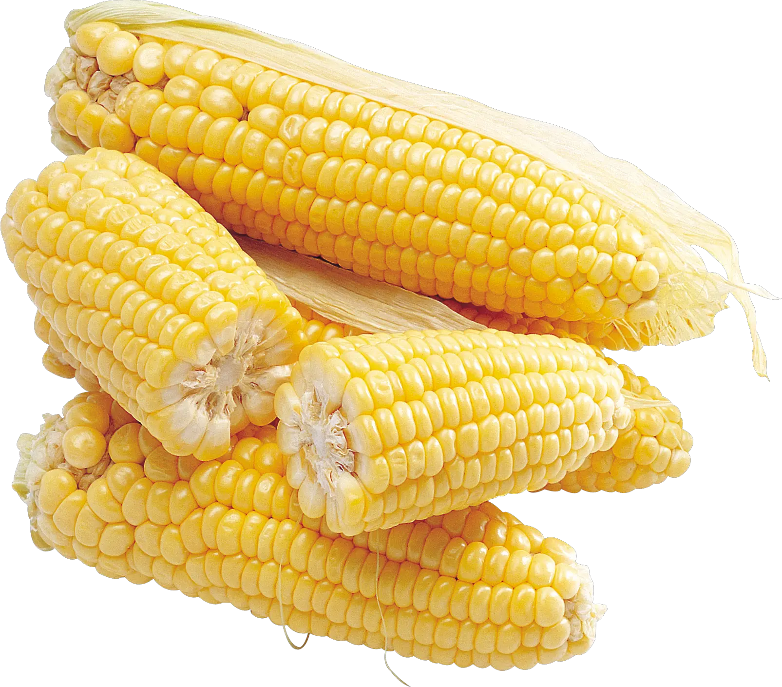 Corn PNG