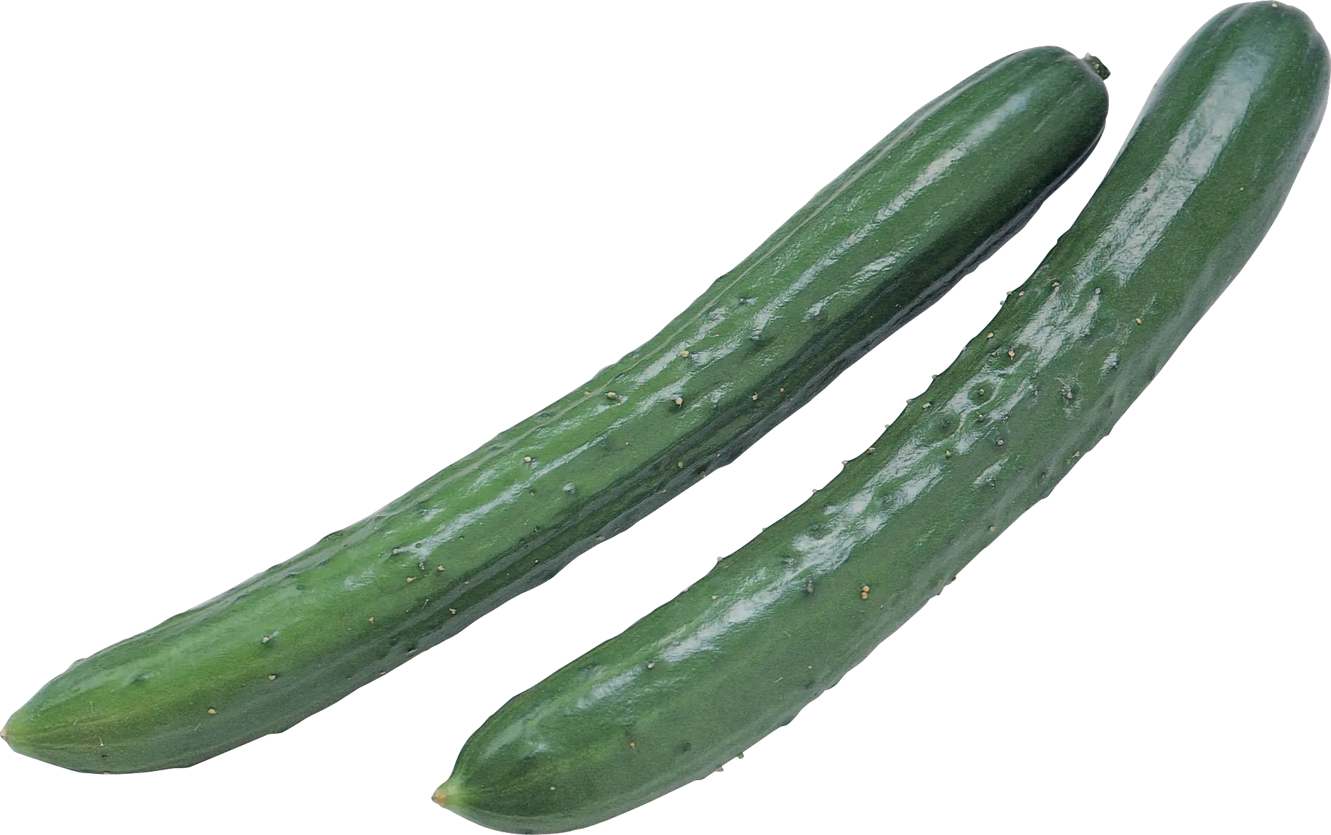 Cucumber PNG