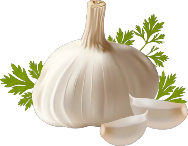 Garlic PNG