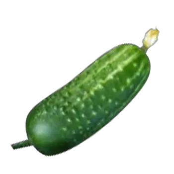 Cucumber with flower PNG