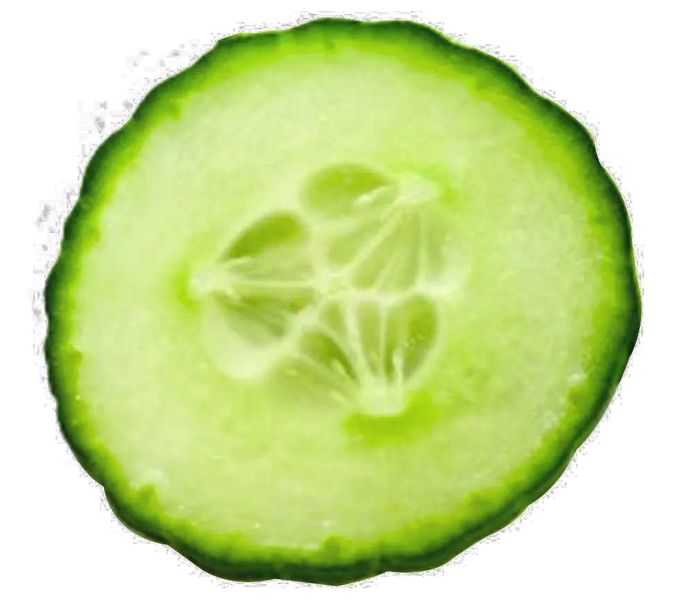 Slice cucumber PNG