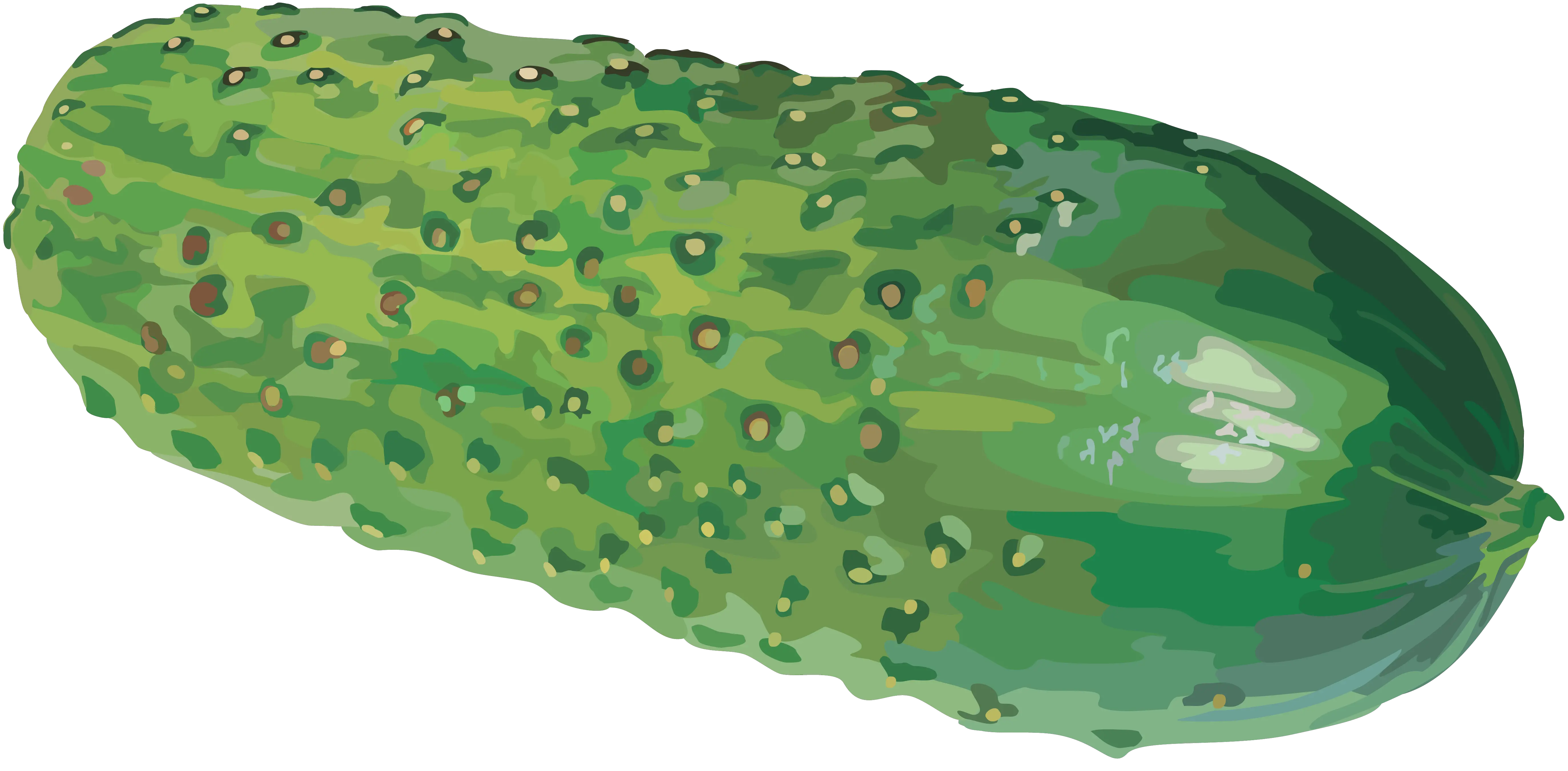 big cucumber PNG image