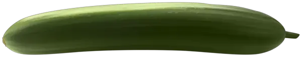 long cucumber PNG