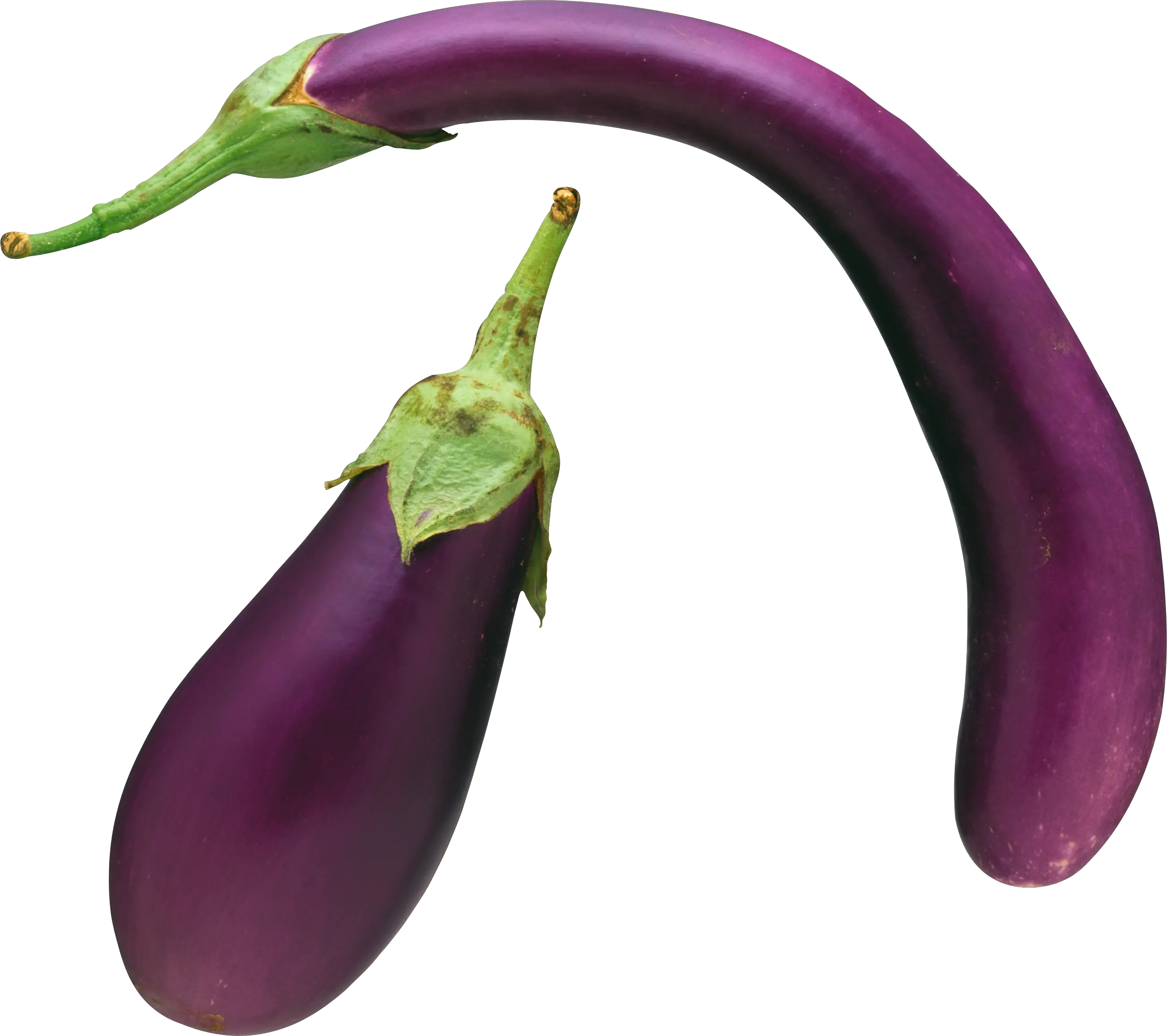 Eggplant PNG images free download