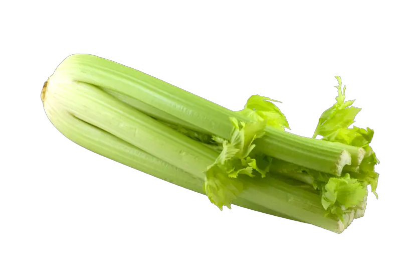 Celery PNG