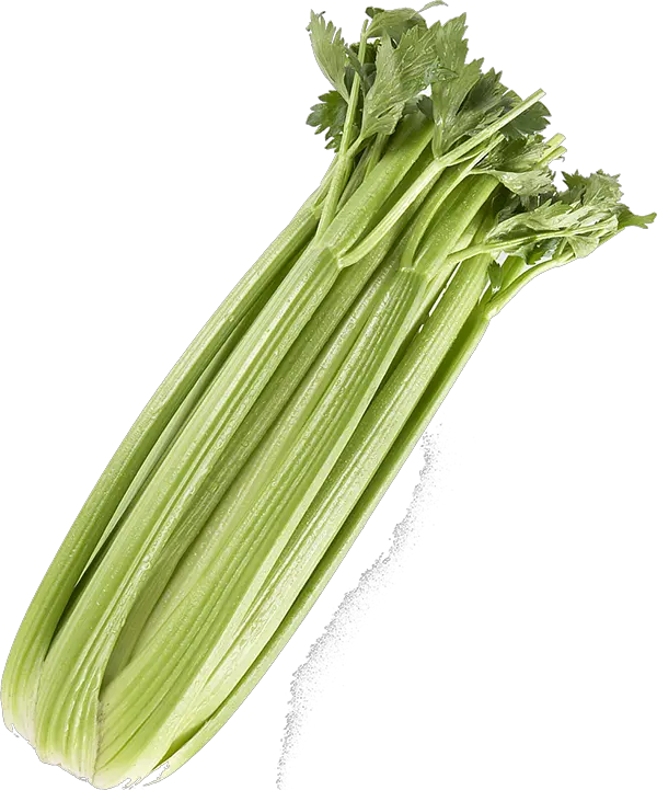 Celery PNG