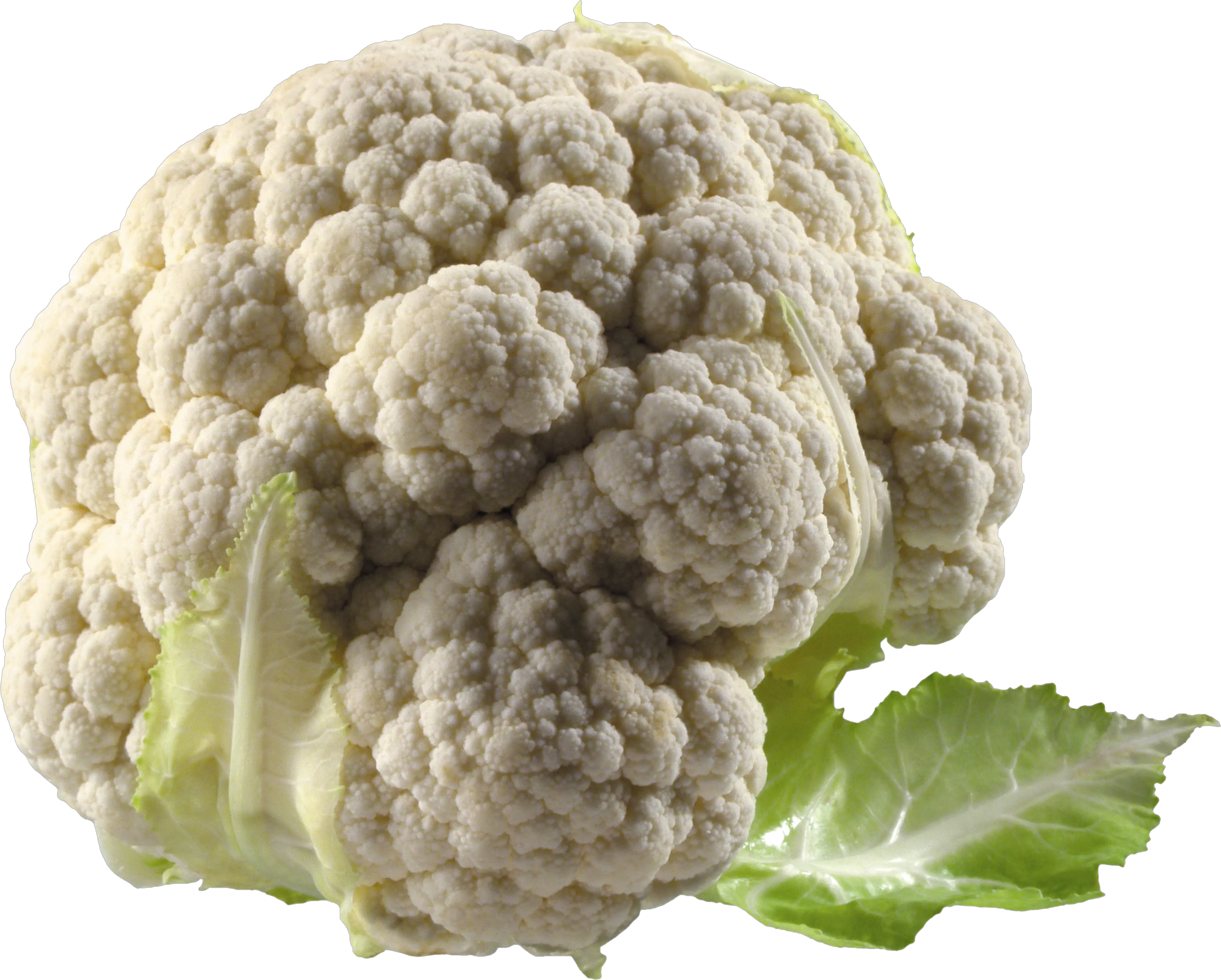 Cauliflower PNG