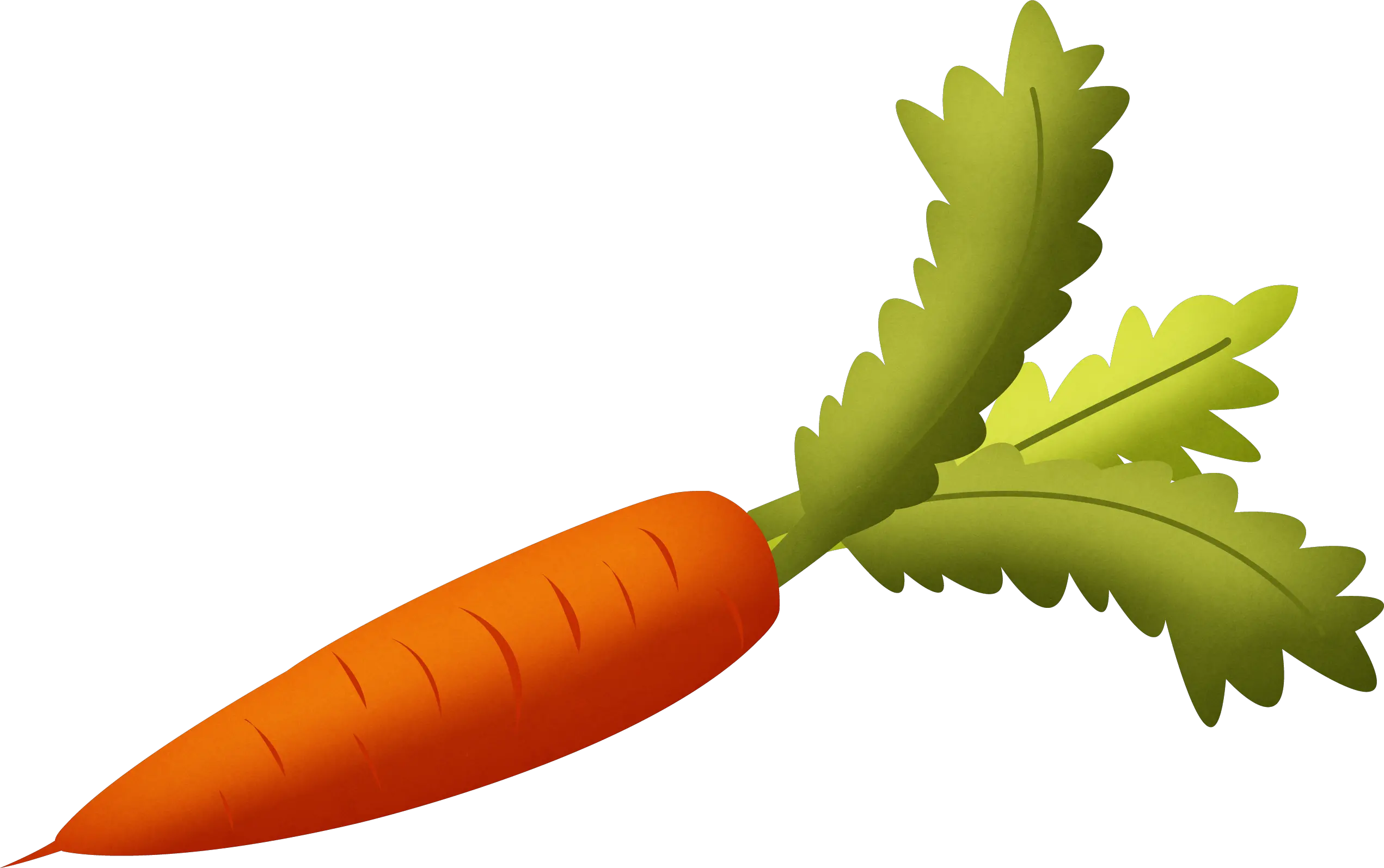Carrot PNG image