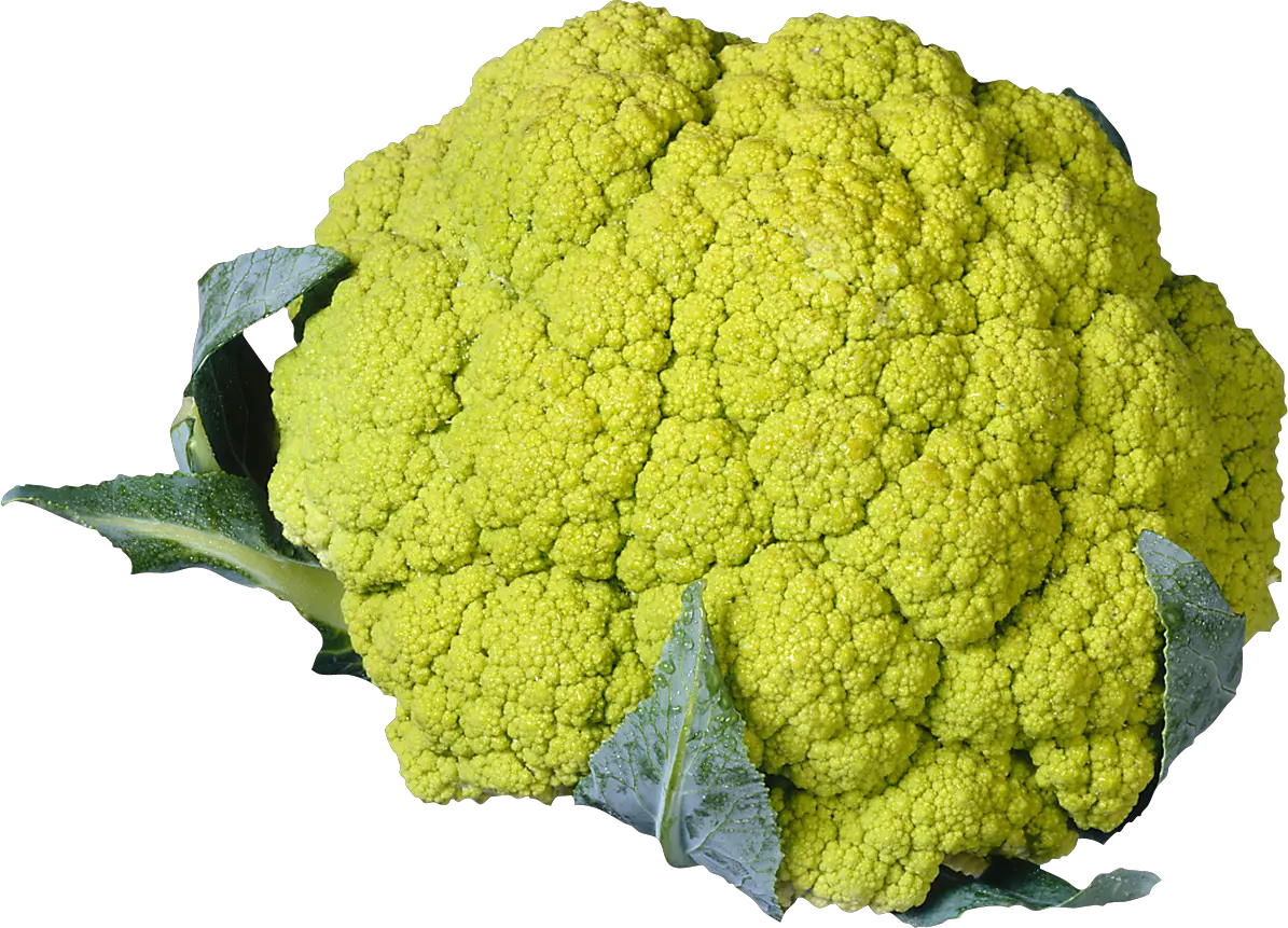 Cauliflower PNG