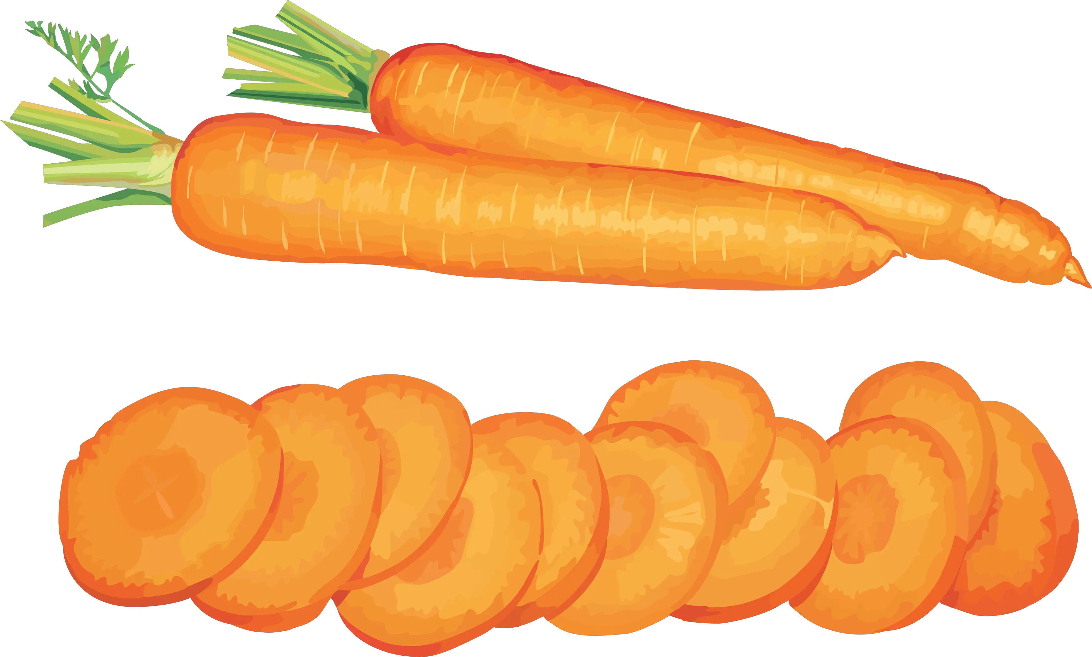 Carrot PNG image