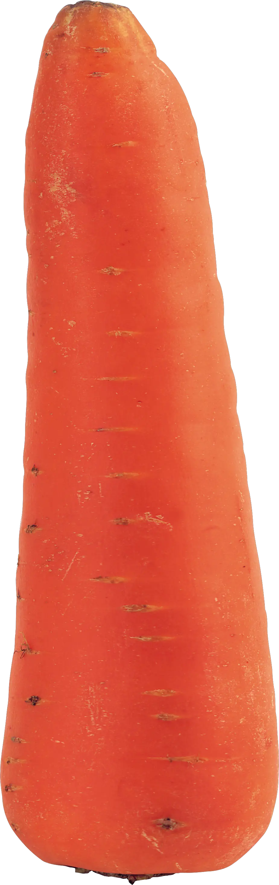 Carrot PNG