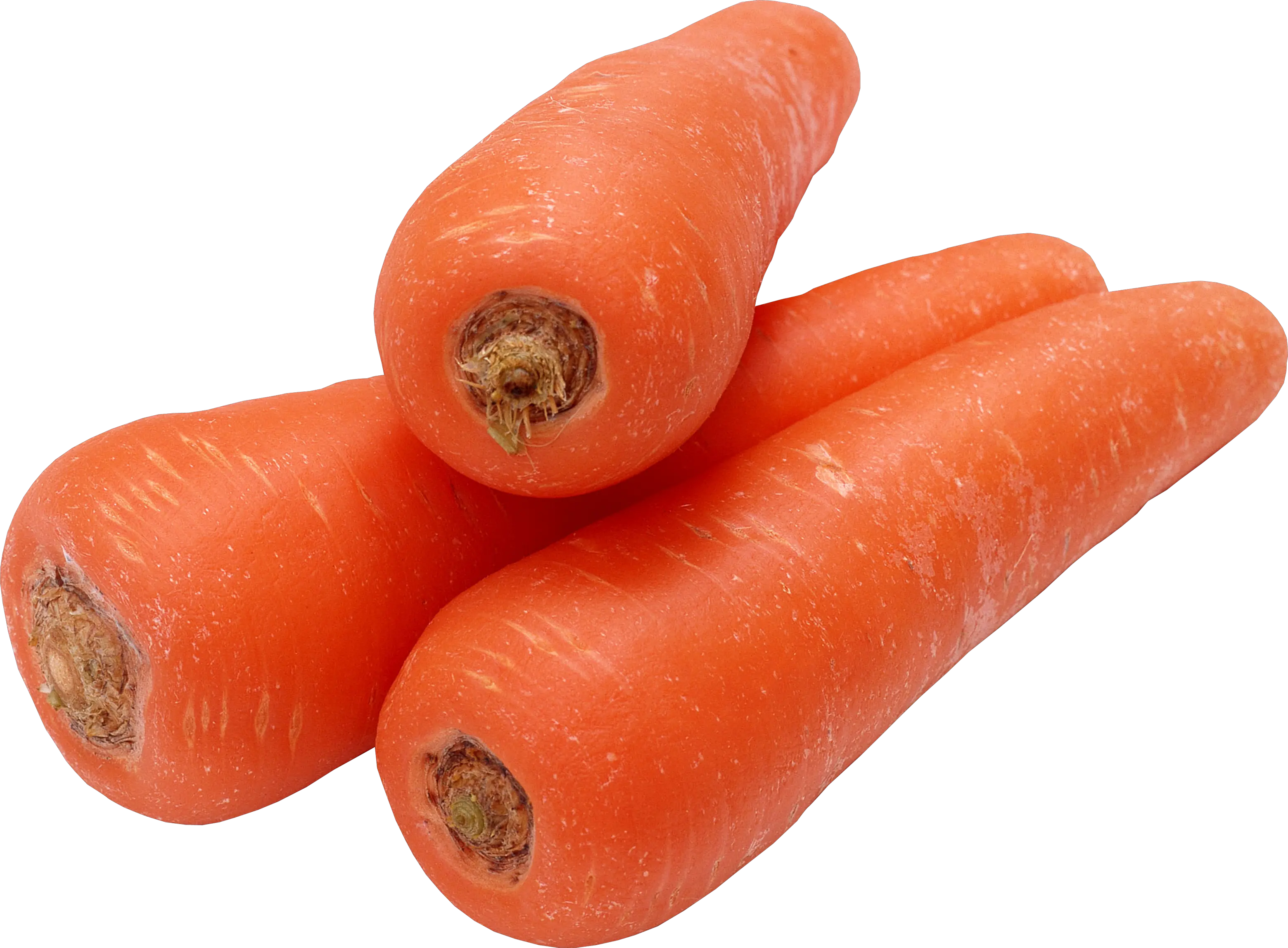 Carrot PNG